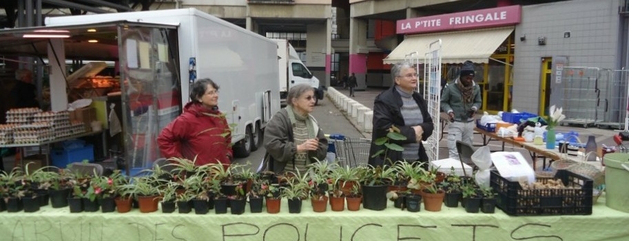 Le Mois du développement durable anime la place du marché