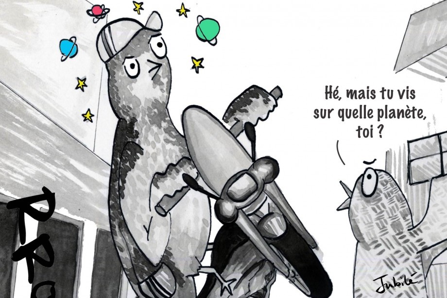 Les pigeons en discutent : les motos sur la place des Géants