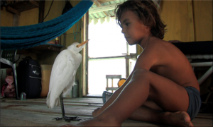 L'aigrette Blanquita et Natan (image extraite du film).