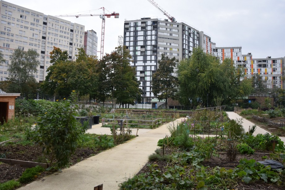 Rencontre avec l’équipe pluridisciplinaire