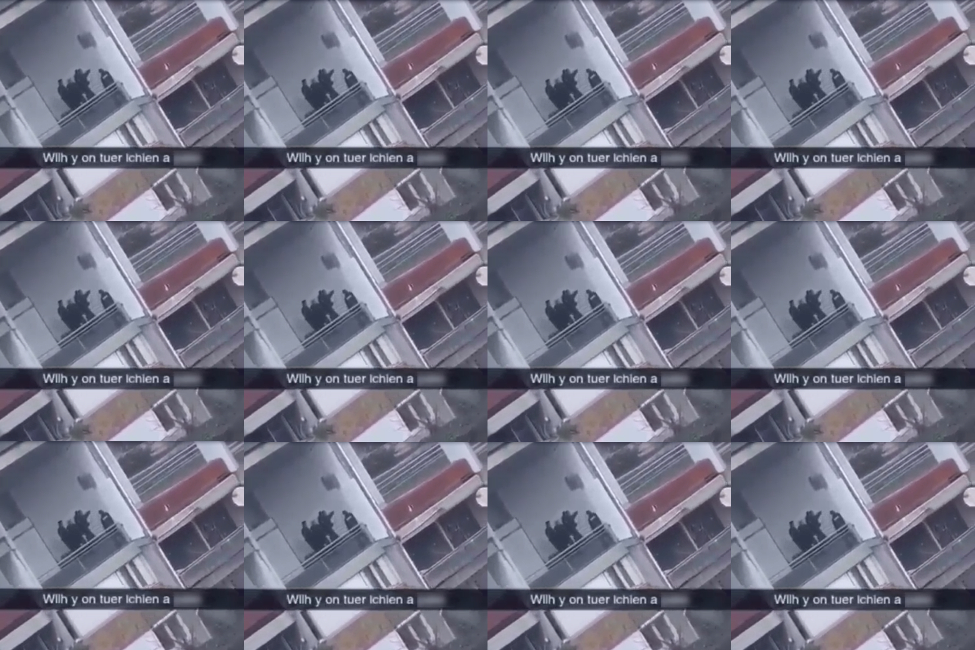 La police abat un malinois dans le quartier