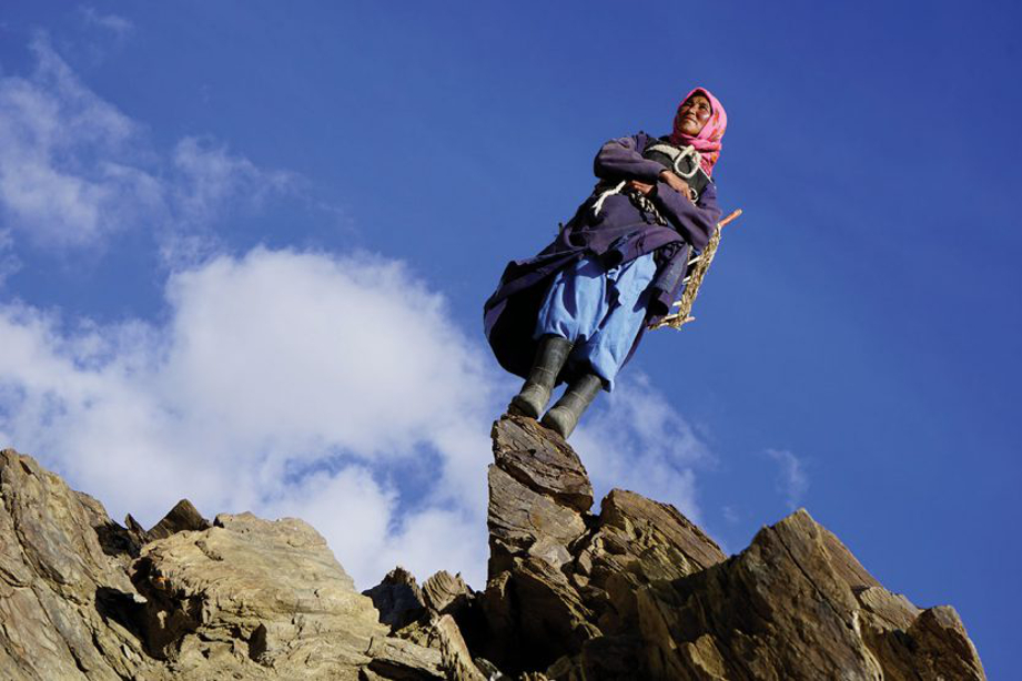 Ciné-Villeneuve présente La Bergère des glaces