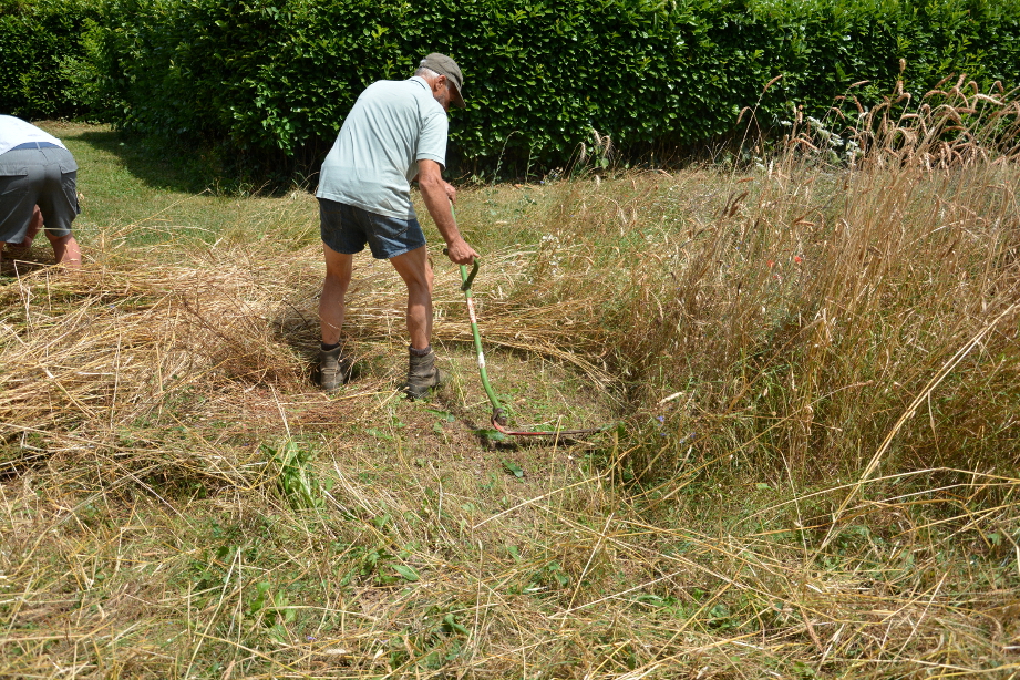 Du blé au pain, à la Villeneuve