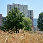 Tu l'as vu mon écoquartier ?