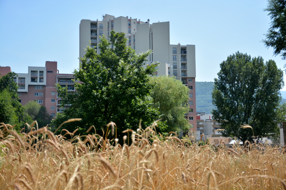 Tu l&rsquo;as vu mon écoquartier ?