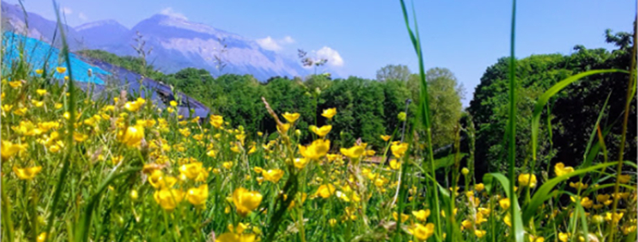 Bien vieillir à la Villeneuve