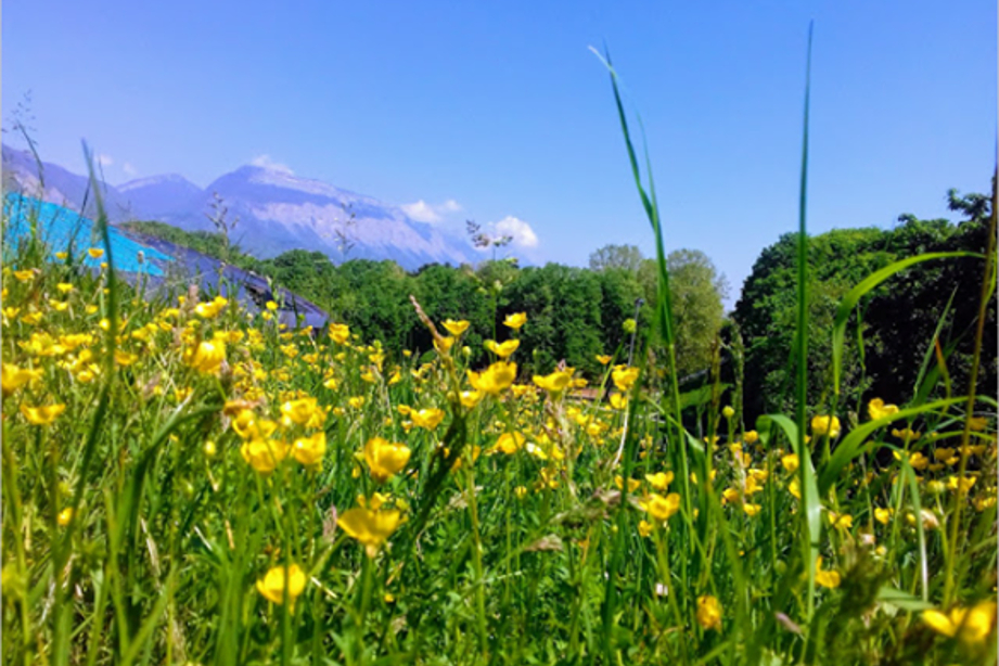 Bien vieillir à la Villeneuve