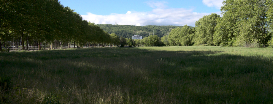 Une ferme urbaine à la Villeneuve ?