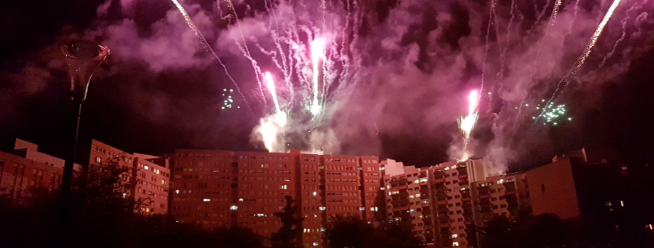 Le Carna’Light a de nouveau illuminé la Villeneuve