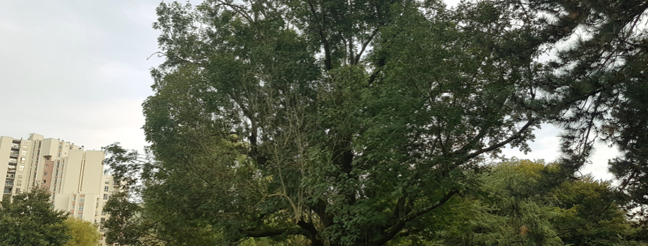 Faire un tour au parc de la Villeneuve